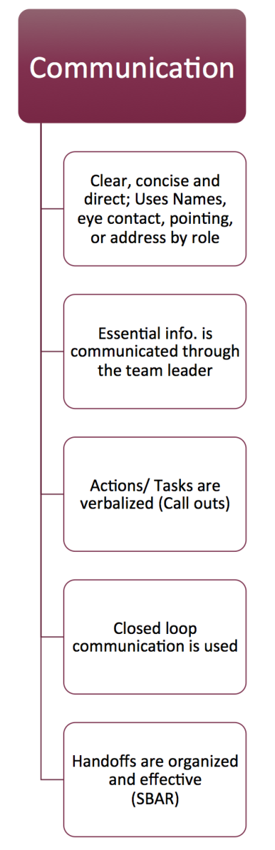 Teaching Medicine Tutorial Team Communication